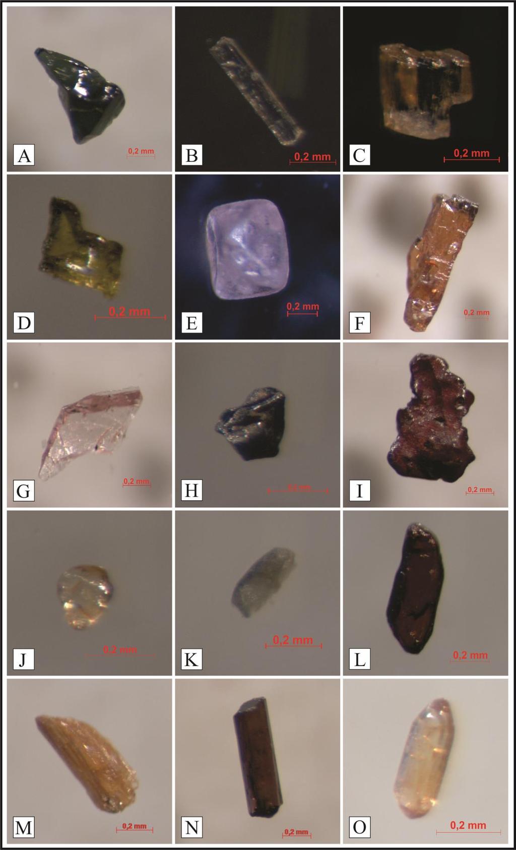 Figura 9 - Fotomomicrografia dos grãos de minerais pesados das praias do norte do Estado do Rio de Janeiro.