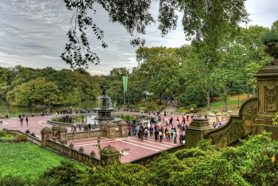 Lindsay Silverman Eu tinha ido ao Central Park em Nova York para fotografar a folhagem de outono. No entanto, as folhas ainda não haviam mudado.