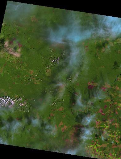 Imagens de satélite como as do sensor Thematic Mapper (TM) a bordo do Landsat 5, podem proporcionar o monitoramento da cultura, possibilitando a estimativa da área e da produção.