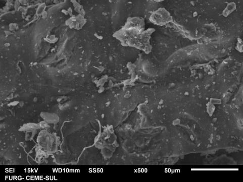 q 1/ n k C F (5) F q 1 BET (6) 1 K C 1 K C K C K q C 1 3. RESULTADOS E DISCUSSÃO 3.1.Caractrização dos adsorvnts A Figura 1 aprsnta as imagns d MEV da casca d arroz in natura tratada com fluído suprcrítico.