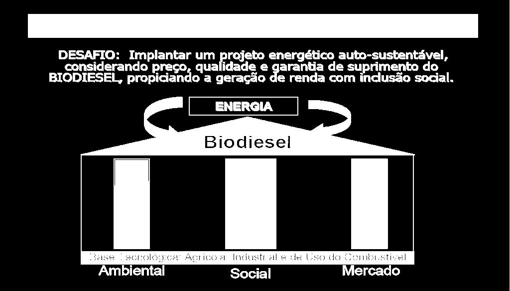 qualidade e suprimento; Produzir o biodiesel a partir de diferentes fontes