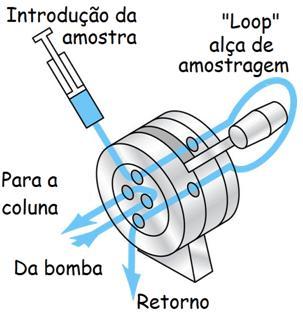 Sistema de Injeção de Amostras Devido às elevadas pressões de operação