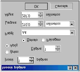 Para inserir uma ou mais páginas, selecione a opção Inserir página do menu Layout. Na caixa de diálogo exibida, entre com a quantidade de páginas a inserir e a posição - antes ou após a página atual.