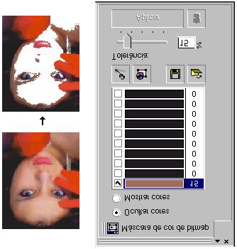 Terminados os ajustes de cor e tolerância, clique no botão Aplicar. Para remover a máscara da imagem, clique no botão Remover máscara.