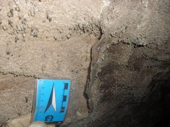 São sedimentos químicos que pendem do teto e precipitam como delgada camada aproximadamente retilínea. Ocorre de forma localizada, com coloração escura a preta e tamanho centimétrico.