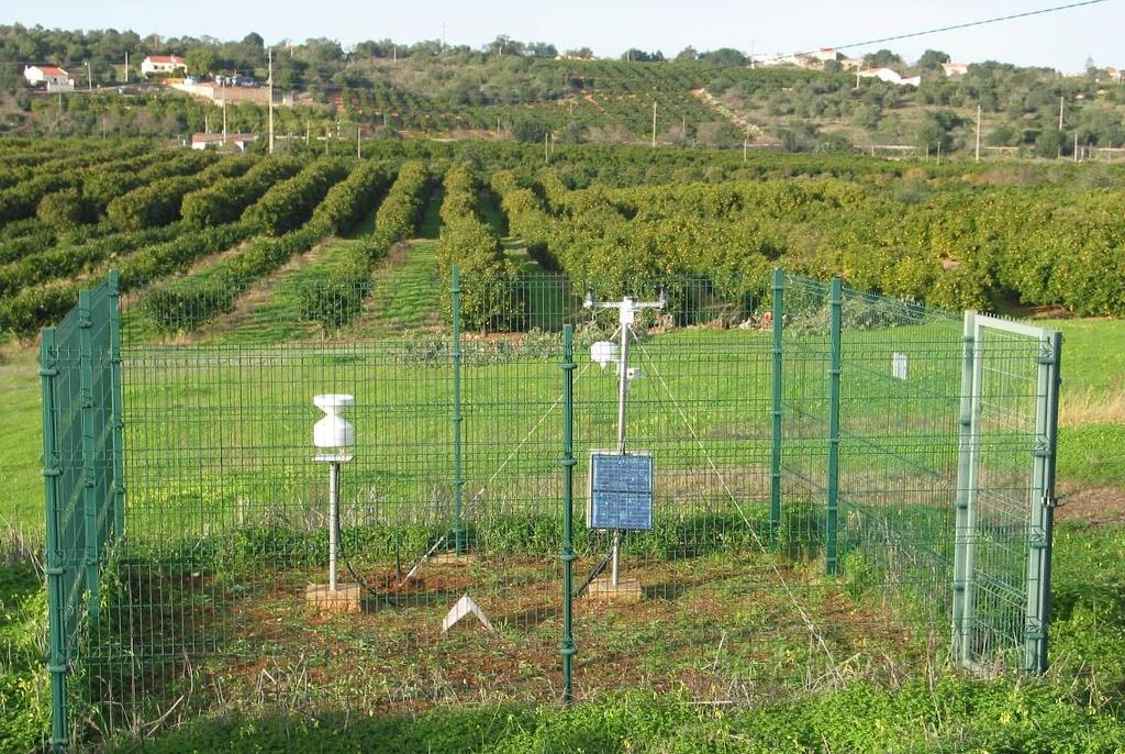 4 - ALCANTARILHA Orografia / situação geográfica / vegetação: Na Quinta das Boiças (perto da estação de comboio de Armação de Pêra). Planalto no barrocal (muito perto da serra).