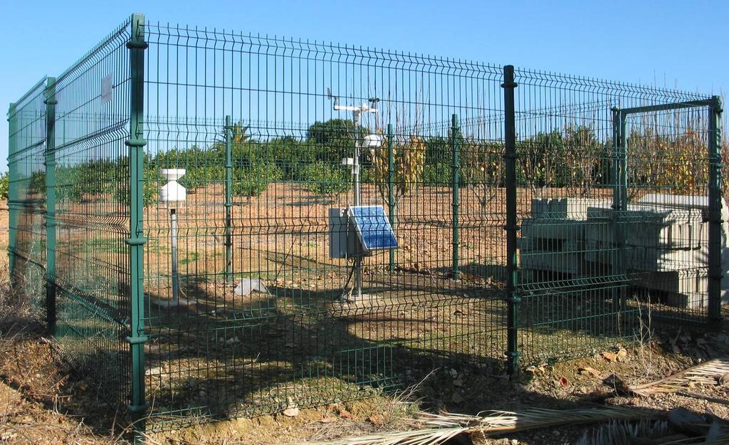 5 - MARAGOTA Orografia / situação geográfica / vegetação: Na Quinta da Maragota (entre a Luz de Tavira e Moncarapacho). Planalto no barrocal. Boa exposição solar e drenagem atmosférica.