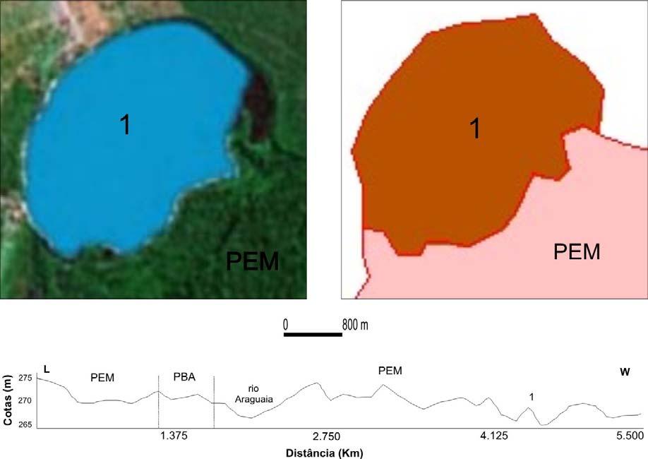 O perfil da figura 4 diz respeito ao lago de Espira de Meandro Composta situado no terceiro segmento do médio rio Araguaia.