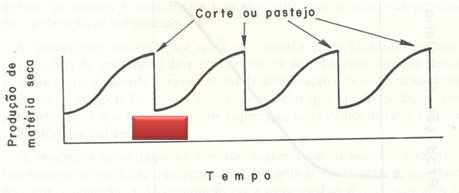 Do hábito de crescimento das plantas Implicações práticas Fatores que interferem na recuperação após a desfolha Na recuperação das plantas forrageiras após a