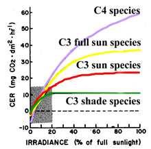 Resumo: C3 x C4 As plantas C3 são favorecidas em habitat caracterizados pela combinação de temperaturas baixas, sombreamento e umidade; à exceção as leguminosas tropicais Por outro lado, as gramíneas