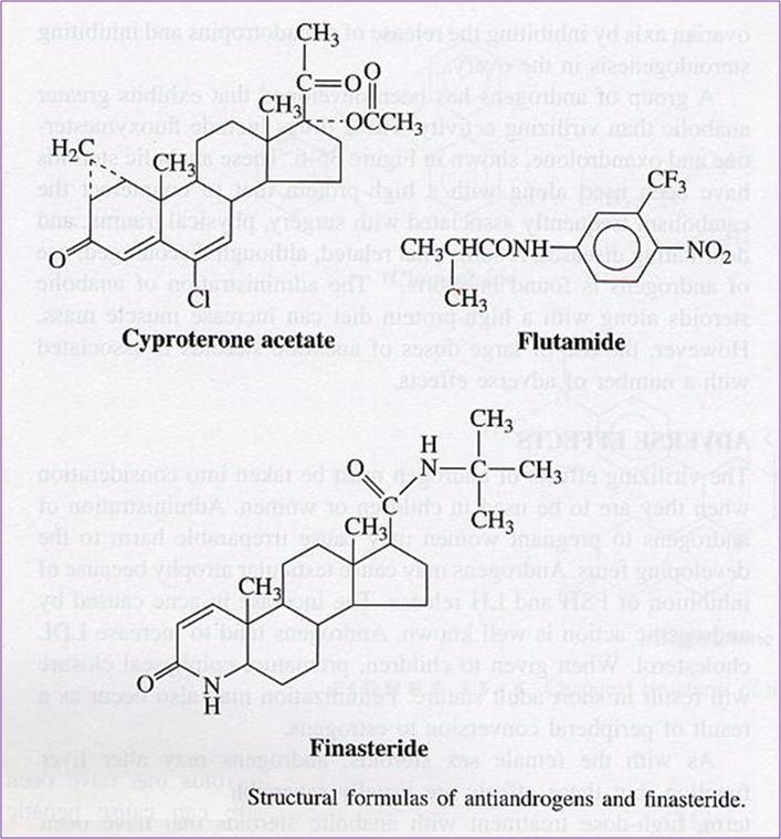Ciproterona contraceção; terapêutica do cancro da próstata Flutamida terapêutica