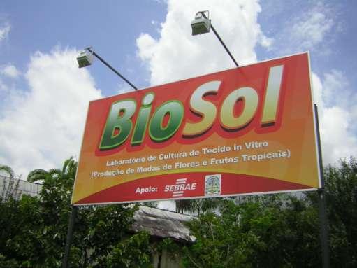 BioSol SEBRAE/CBA Projeto Estruturante da