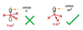 Hibridização é uma propriedade dos OAs e não somente do átomo de carbono, portanto podem-se hibridizar outros átomos.