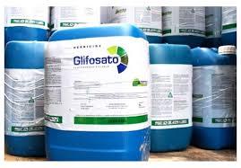 Sementeira Direta e Glifosato Controle de infestantes em sementeira directa: Com Glifosato Sem Glifosato Ex. Trigo 69.58 /ha 86.