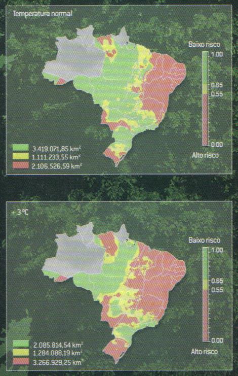 Impacto ambiental Consequências no Brasil sobre