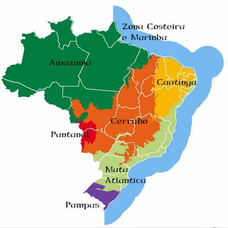 Quatro dos biomas mais ricos do planeta estão no Brasil correndo sérios