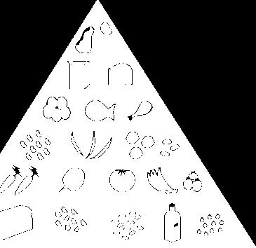 pirâmide alimentar Perfil dos nutrientes: não é o suficiente para