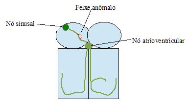 23 O QUADRO 3 contém um resumo dos indicadores de crescimentos atriais. QUADRO 3. Pontos-chave para a identificação dos crescimentos atriais.