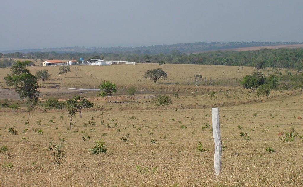 Região Pastagens degradadas no Cerrado Pastagem plantada (ha) Degradadas Em boas condições Degradadas Total (%) Cerrado 40.989.751 4.284.712 45.274.463 9,5 Brasil 91.594.484 9.842.925 101.437.