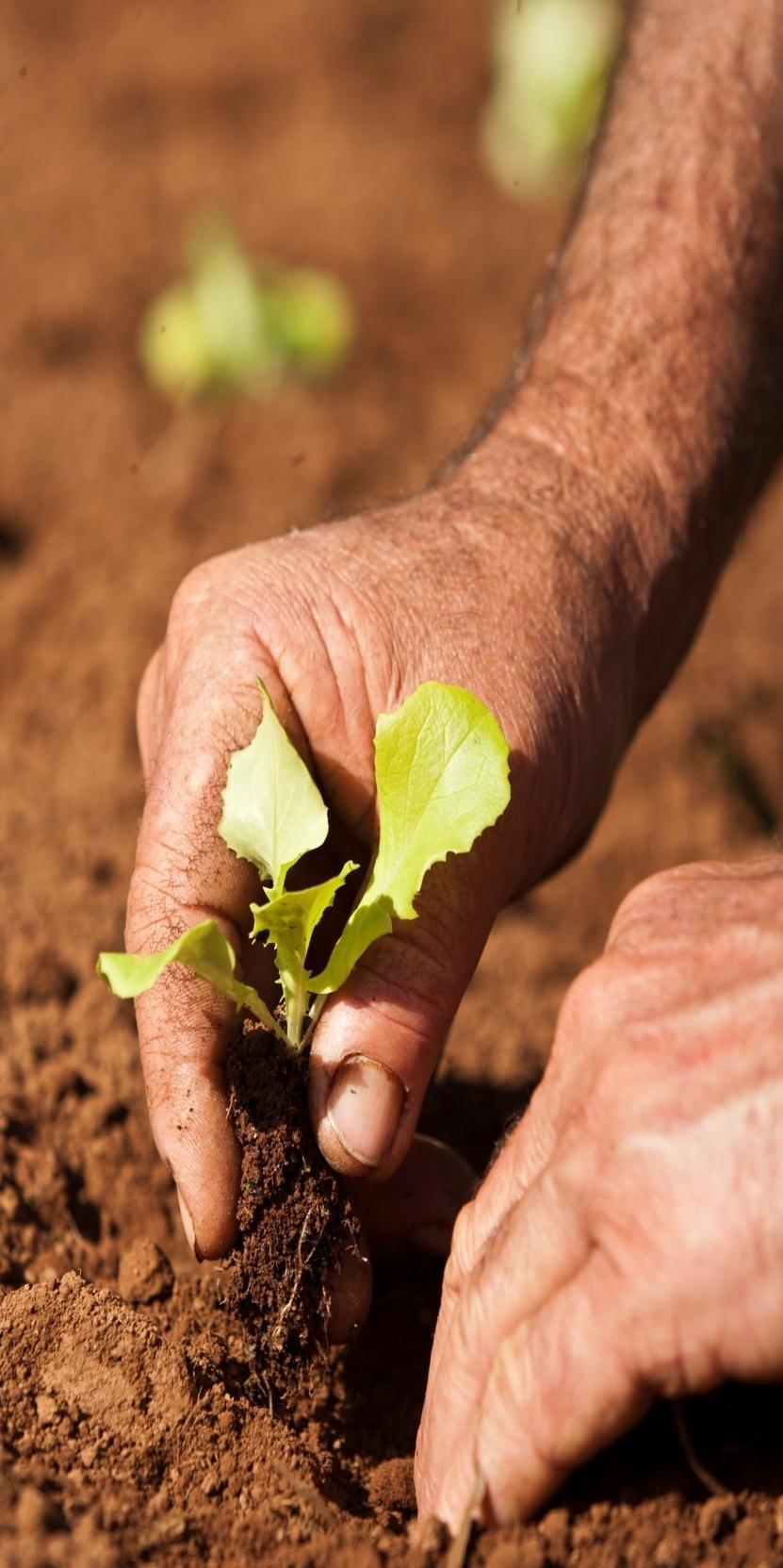 Reestruturação desde 2003 ATER Rota da Sustentabilidade gestão ambiental boas