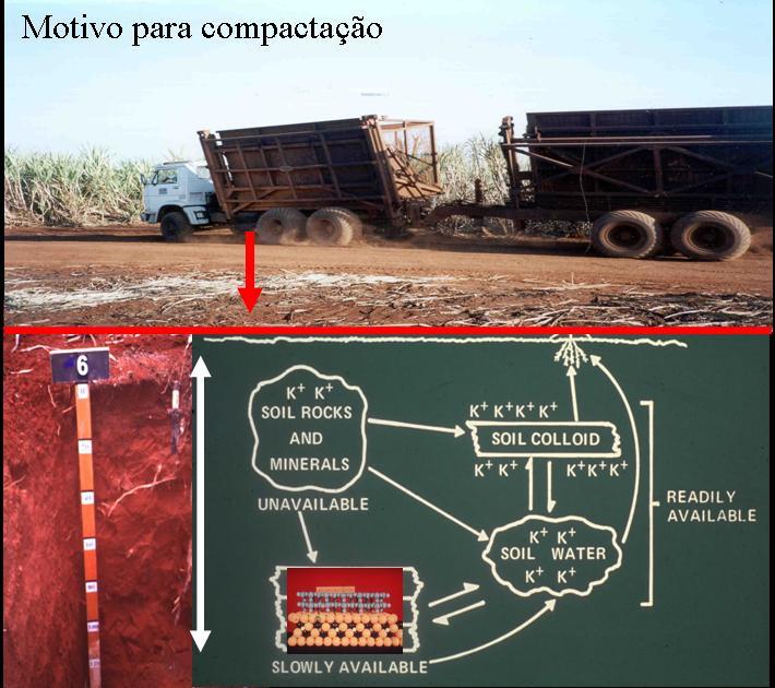 Compactação forte, com