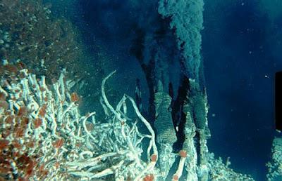 Exploração mineira dos fundos marinhos A Z.E.E. dos Açores é considerada um laboratório natural pela comunidade científica.