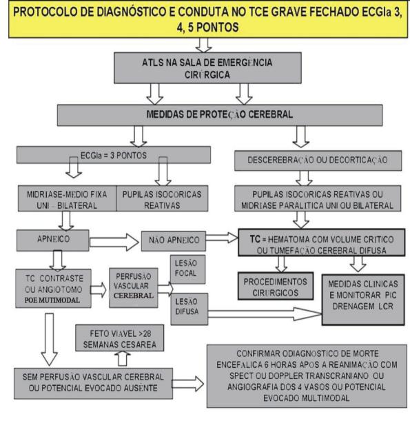 36 Lesões difusas no traumatismo craniencefálico: aspectos clínicos, fisiopatologia e classificação. - Almir Ferreira de Andrade e cols.