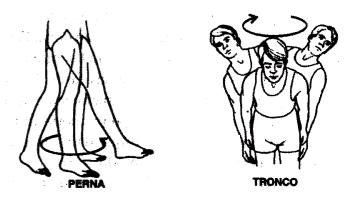 TERMOS ESPECIALIZADOS Circundução (braço, mão, cabeça, tronco, coxa, pé):