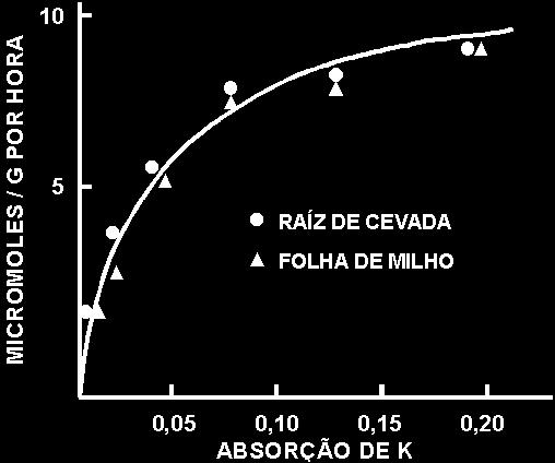 ABSORÇÃO DE POTÁSSIO POR