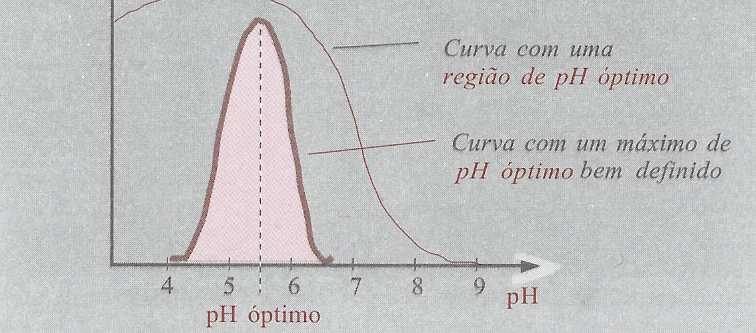 desnaturação, quer devido a alterações na ligação entre apoenzima