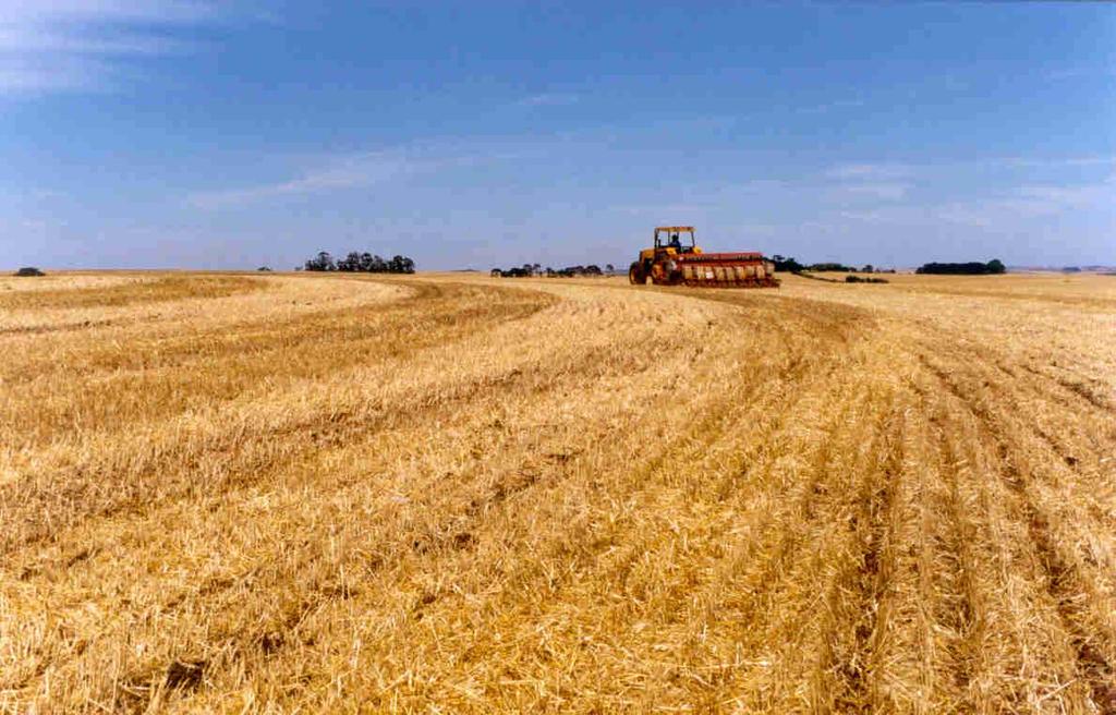 CULTURAS CONTEMPLADAS NO ZONEAMENTO DE RISCOS CLIMÁTICOS: SOJA Regiões Sul, Sudeste,