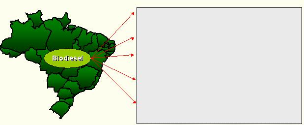 PERSPECTIVAS - PRODUÇÃO DE BIODIESEL NO BRASIL O Brasil apresenta todas as condições para a criação de um programa nacional de produção de biodiesel sustentável e de grande porte.