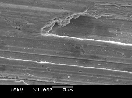 2 Microscopia Eletrônica de Varredura - MEV Esta análise foi feita para verificar a estrutura morfológica do revestimento, ou seja, analisar a presença de poros internos, amplificação de rugosidade e