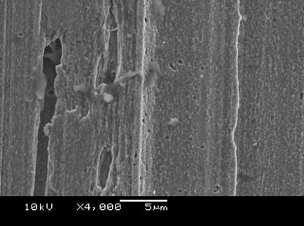 Resultados e Discussões 128 Aumento (1000x) Aumento (4000x) FIGURA 58 MICROSCOPIA ELETRÔNICA