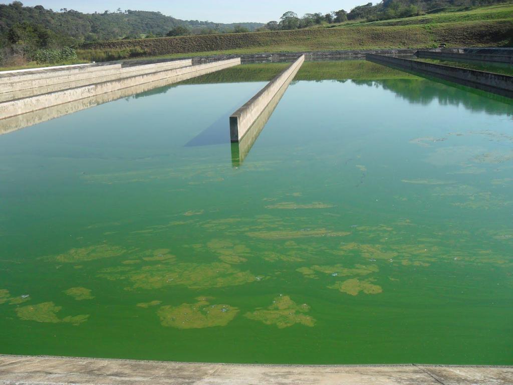 Lagoas de