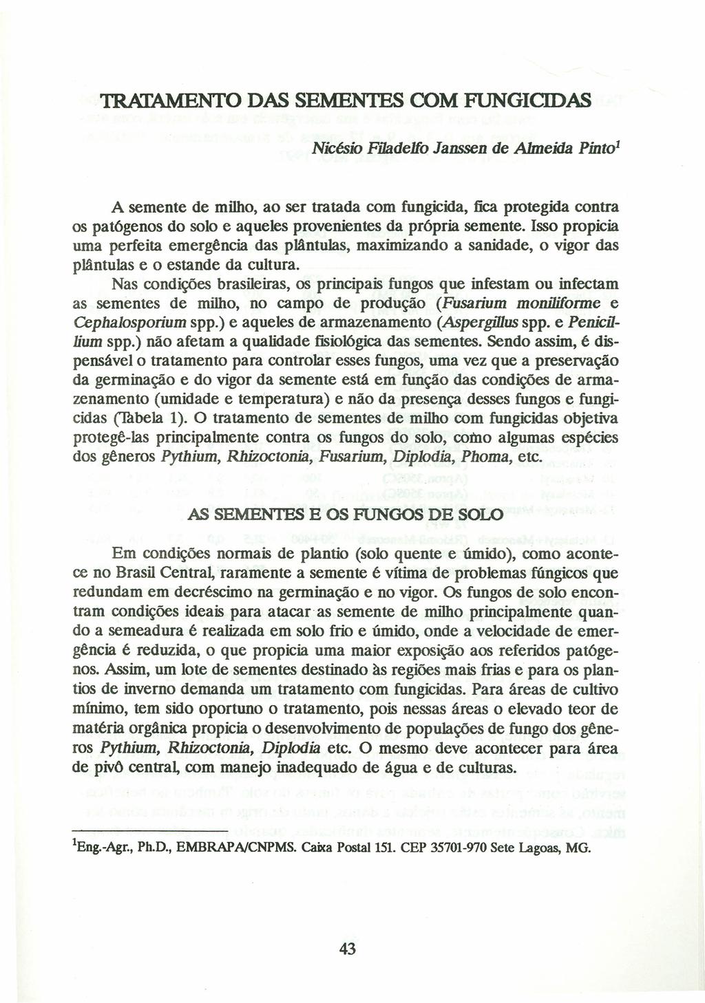 TRATAMENTO DAS SEMENTES COM FUNGICIDAS Nicésio Filadelfo Janssen de Almeida Pinto 1 A semente de milho, ao ser tratada com fungicida, fica protegida contra os patógenos do solo e aqueles provenientes