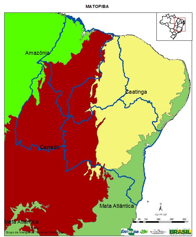 BIOMAS NOS ESTADOS ABRANGIDOS O primeiro grande critério de delimitação territorial teve como base as áreas