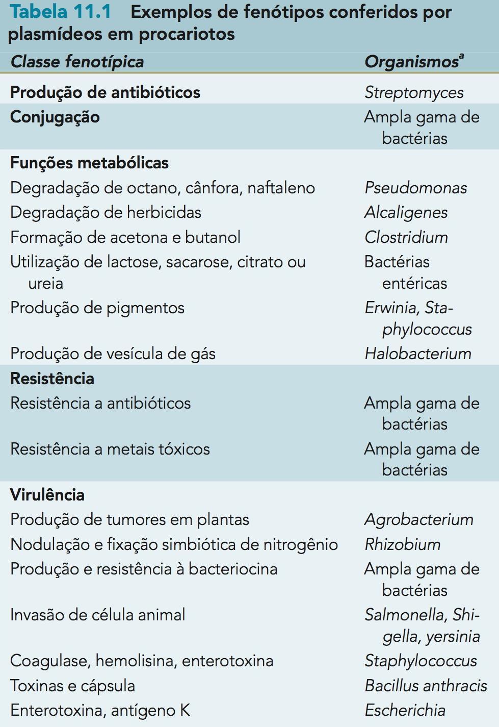 Plasmídeos bacterianos Carreiam genes que exercem influência no