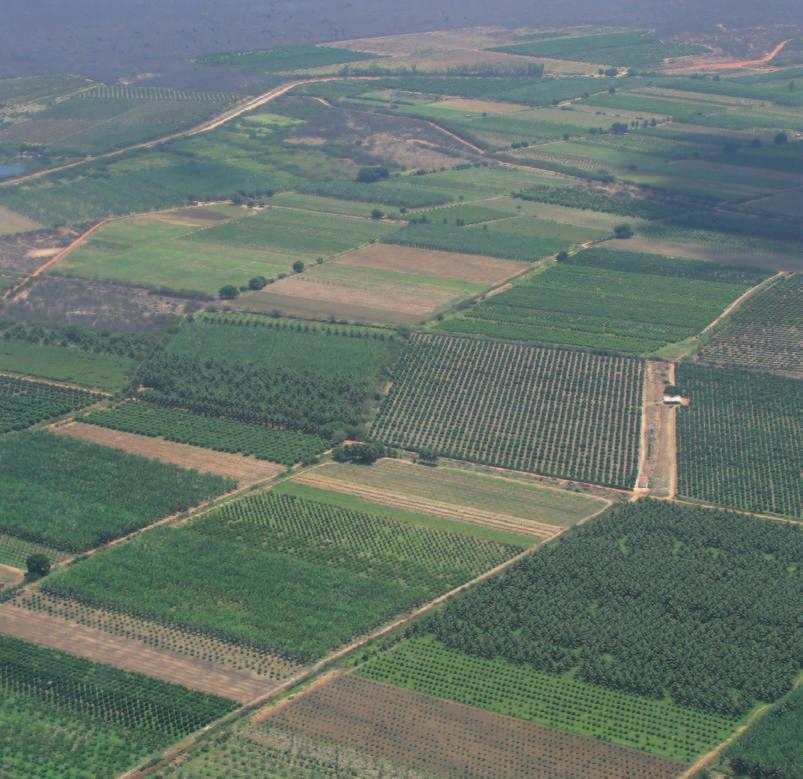 GEODIVERSIDADE DO ESTADO DE PERNAMBUCO a b c Figura 7.