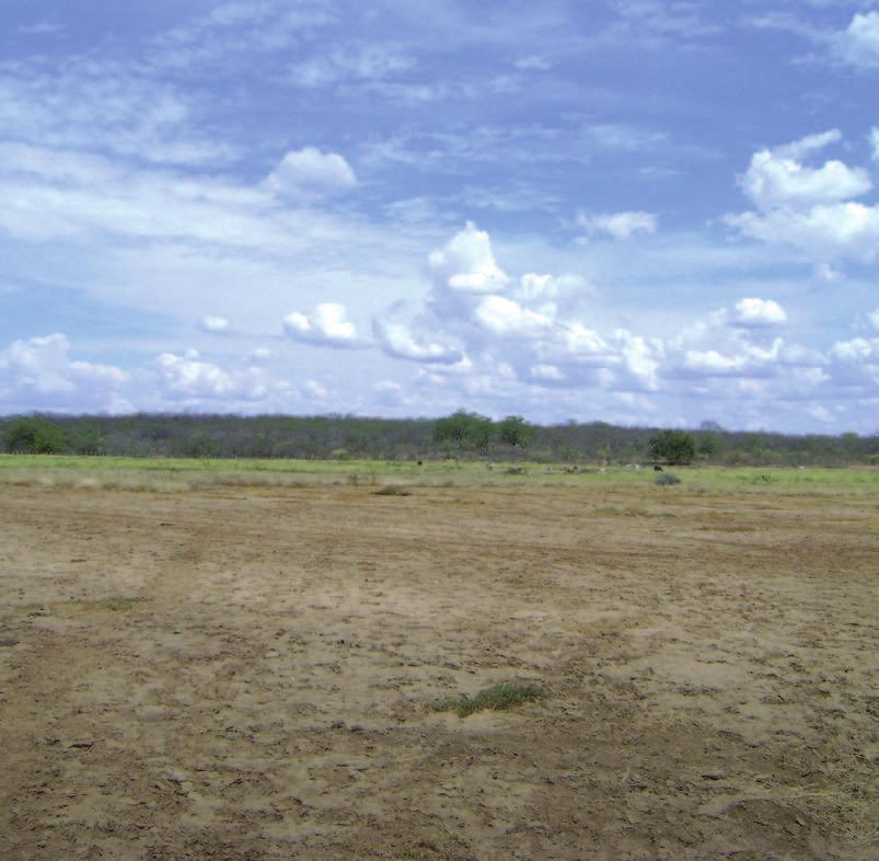 GEODIVERSIDADE DO ESTADO DE PERNAMBUCO a b c Figura 7.