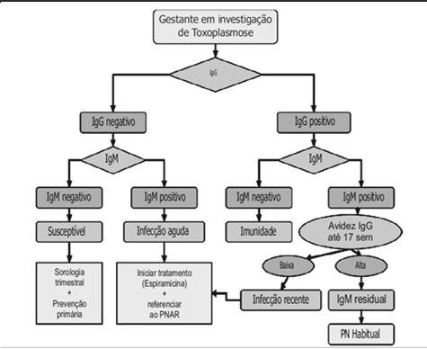 ausência de IgM indica infecção crônica avidez Teste de avidez IgG PNAR pré natal de alto risco Infecção sob controle