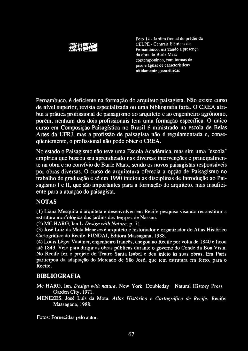 O CREA atribui a prática profissional de paisagismo ao arquiteto e ao engenheiro agrônomo, porém, nenhum dos dois profissionais tem uma formação específica.