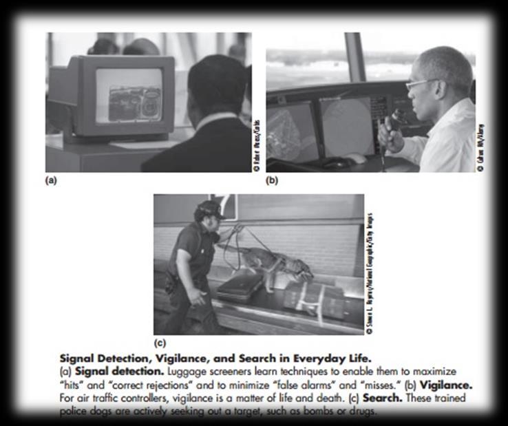 As 4 funções principais da atenção Vigilância e detecção de sinais: capacidade de prestar atenção em um campo de estimulação por um período