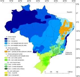 Principais regiões de Exportação de Frutas Chapada do Apodi Melão e Banana Vale do São Francisco Uva e Manga Evolução das exportações de Frutas A