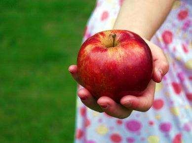 Caminhos da Fruticultura Brasileira Produção de frutas dentro das BPAs; Certificação do