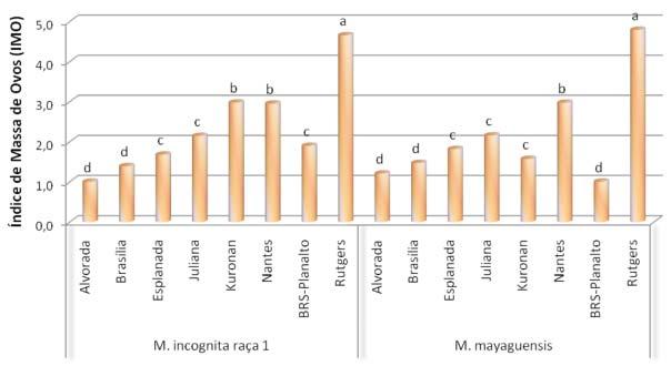 Reação de cultivares de cenoura a Meloidogyne incognita raça 1 e Meloidogyne 13 Figura 2.