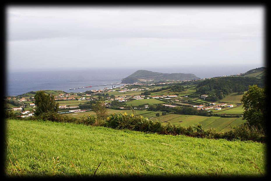 Na região costeira (altitude inferior a 100m), a vegetação é dispersa e