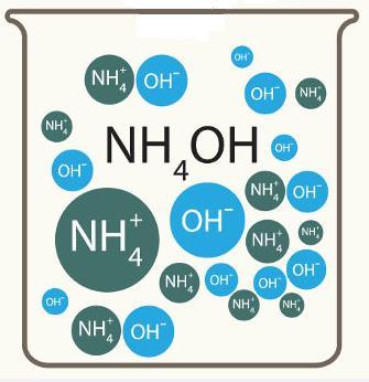 NH 3 (g) + H 2