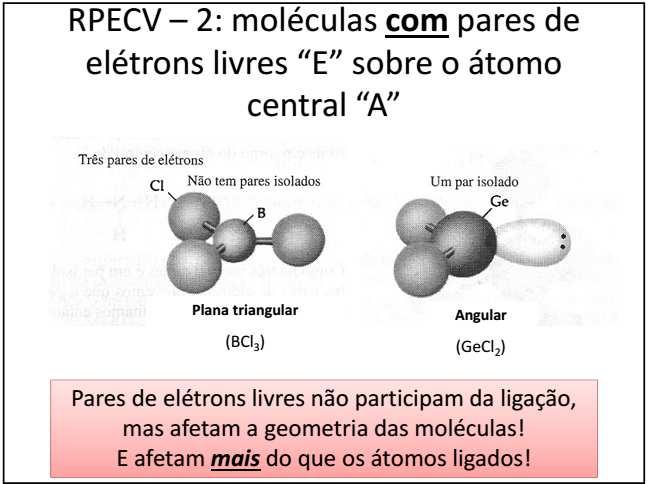 Prof. Isac G.