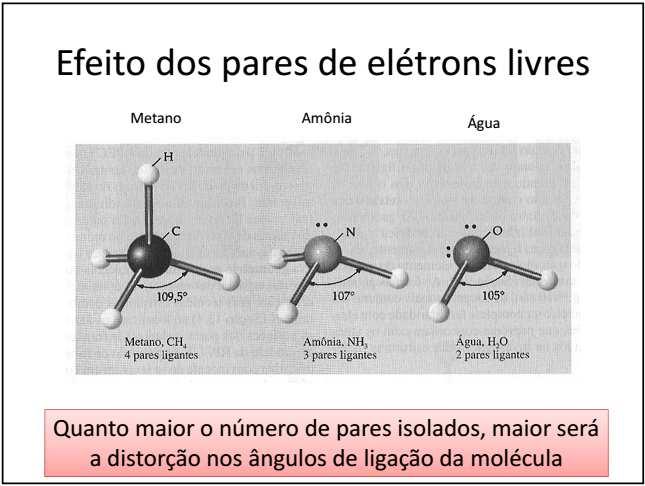 Prof. Isac G.